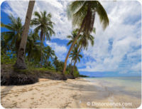 <a href="https://www.distorsiones.com/playa-con-palmeras-y-arena-blanca-en-siargao/" title="Playa con palmeras y arena blanca en Siargao">Playa con palmeras y arena blanca en Siargao</a>