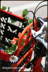 <a href="http://www.distorsiones.com/engalanando-la-bicicleta/" title="Engalanando la bicicleta" target="_blank" rel="noopener noreferrer">Engalanando la bicicleta</a>