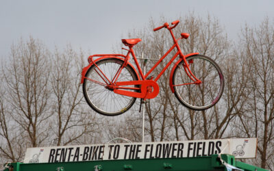 <a href="http://www.distorsiones.com/bicicletas-de-alquiler/" title="Bicicletas de alquiler" target="_blank" rel="noopener noreferrer">Bicicletas de alquiler</a>