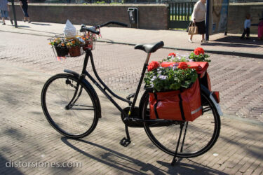 <a href="http://www.distorsiones.com/flores-en-la-bici/" title="Flores en la bici" target="_blank" rel="noopener noreferrer">Flores en la bici</a>