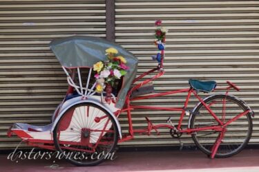 <a href="http://www.distorsiones.com/rickshaw-adornado-con-flores/" title="Rickshaw adornado con flores" target="_blank" rel="noopener noreferrer">Rickshaw adornado con flores</a>