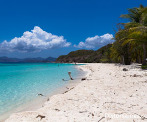 <a href="http://www.distorsiones.com/playa-paradisiaca-en-malcapuya/" title="Playa paradisíaca en Malcapuya" target="_blank" rel="noopener noreferrer">Playa paradisíaca en Malcapuya</a>