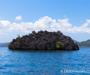 <a href="http://www.distorsiones.com/twin-peaks-coral-garden/" title="Twin Peaks Coral Garden" target="_blank" rel="noopener noreferrer">Twin Peaks Coral Garden</a>
