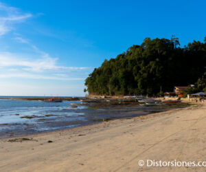 <a href="https://www.distorsiones.com/playa-del-nido/" title="Playa del Nido" target="_blank" rel="noopener noreferrer">Playa del Nido</a>