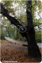 <a href="http://www.distorsiones.com/bicicleta-encaramada-en-un-arbol/" title="Bicicleta encaramada en un árbol">Bicicleta encaramada en un árbol</a>