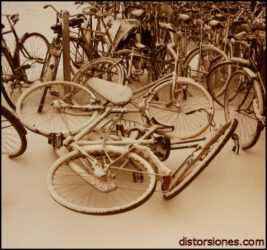 <a href="http://www.distorsiones.com/nieve-en-hilversum/" title="Nieve en Hilversum">Nieve en Hilversum</a>