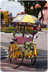 <a href="http://www.distorsiones.com/trishaw-amarillo-con-rosas/" title="Trishaw amarillo con rosas">Trishaw amarillo con rosas</a>