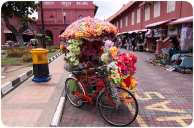<a href="http://www.distorsiones.com/trishaw-rojo-forrado-de-flores-artificiales-frente-al-stadhuys/" title="Trishaw rojo forrado de flores artificiales frente al Stadhuys">Trishaw rojo forrado de flores artificiales frente al Stadhuys</a>