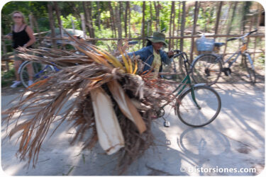 <a href="http://www.distorsiones.com/usando-la-bicicleta-para-transportar-carga/" title="Usando la bicicleta para transportar carga">Usando la bicicleta para transportar carga</a>