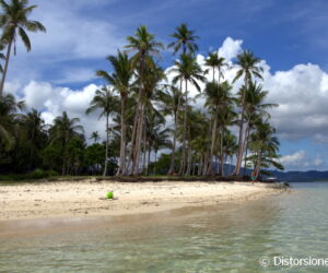 <a href="https://www.distorsiones.com/otra-vista-de-la-playa-de-ipil/" title="Otra vista de la playa de Ipil" target="_blank" rel="noopener noreferrer">Otra vista de la playa de Ipil</a>