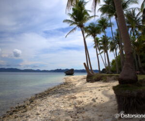 <a href="https://www.distorsiones.com/playa-de-ipil-en-el-islote-de-pinagbuyutan/" title="Playa de Ipil en el islote de Pinagbuyutan" target="_blank" rel="noopener noreferrer">Playa de Ipil en el islote de Pinagbuyutan</a>