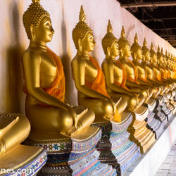 <a href="https://www.distorsiones.com/ristra-de-budas-pediguenos-en-el-monasterio-del-wat-phutthaisawan/" title="Ristra de Budas pedigüeños en el monasterio del Wat Phutthaisawan" target="_blank" rel="noopener noreferrer">Ristra de Budas pedigüeños en el monasterio del Wat Phutthaisawan</a>