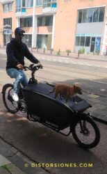 <a href="https://www.distorsiones.com/urban-arrow-family-con-perro-y-capota/" title="Urban Arrow Family con perro y capota" target="_blank" rel="noopener">Urban Arrow Family con perro y capota</a>