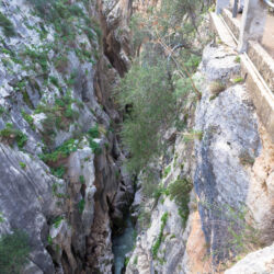 <a href="https://www.distorsiones.com/el-fondo-del-barranco/" title="El fondo del barranco" target="_blank" rel="noopener">El fondo del barranco</a>