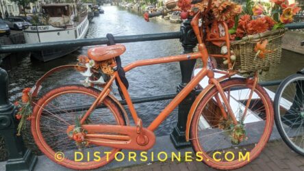 <a href="https://www.distorsiones.com/bicicleta-requetequete-naranja/" title="Bicicleta requetequete-naranja" target="_blank" rel="noopener">Bicicleta requetequete-naranja</a>