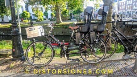 <a href="https://www.distorsiones.com/bicicleta-con-dos-asientos-de-ninos-y-cesta-de-carga/" title="Bicicleta con dos asientos de niños y cesta de carga" target="_blank" rel="noopener">Bicicleta con dos asientos de niños y cesta de carga</a>