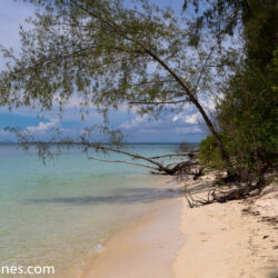 <a href="https://www.distorsiones.com/el-final-de-la-playa-de-ko-poda/" title="El final de la playa de Ko Poda" target="_blank" rel="noopener">El final de la playa de Ko Poda</a>