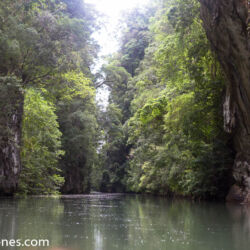 <a href="https://www.distorsiones.com/dentro-del-parque-nacional-de-ao-nang/" title="Dentro del parque Nacional de Ao Nang" target="_blank" rel="noopener">Dentro del parque Nacional de Ao Nang</a>