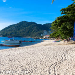 <a href="https://www.distorsiones.com/la-playa-mae-haad-al-mediodia/" title="La playa Mae Haad al mediodía" target="_blank" rel="noopener">La playa Mae Haad al mediodía</a>