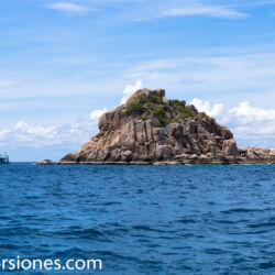 <a href="https://www.distorsiones.com/la-isla-tiburon/" title="La isla tiburón" target="_blank" rel="noopener">La isla tiburón</a>