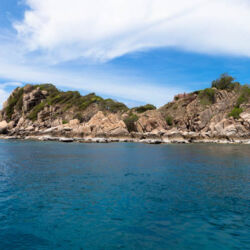 <a href="https://www.distorsiones.com/pedrolos-en-la-costa-y-la-isla-tiburon/" title="Pedrolos en la costa y la isla Tiburón" target="_blank" rel="noopener">Pedrolos en la costa y la isla Tiburón</a>