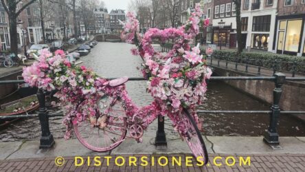 <a href="https://www.distorsiones.com/otro-bicifloripondio/" title="Otro bicifloripondio" target="_blank" rel="noopener">Otro bicifloripondio</a>
