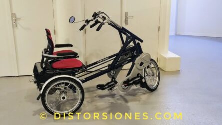 <a href="https://www.distorsiones.com/otra-van-raam-fun2go-duofiets/" title="Otra Van Raam Fun2Go duofiets" target="_blank" rel="noopener">Otra Van Raam Fun2Go duofiets</a>