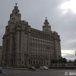 <a href="https://www.distorsiones.com/el-royal-liver-building-visto-por-el-lateral/" title="El Royal Liver Building visto por el lateral" target="_blank" rel="noopener">El Royal Liver Building visto por el lateral</a>