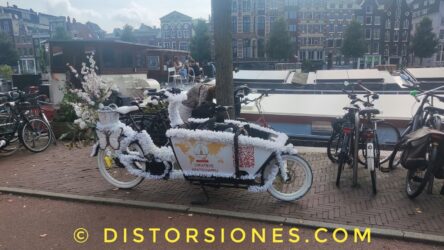 <a href="https://www.distorsiones.com/bakfiets-floripondiada/" title="Bakfiets floripondiada" target="_blank" rel="noopener">Bakfiets floripondiada</a>