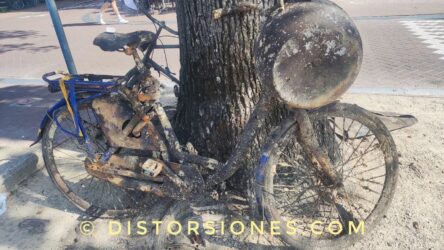 <a href="https://www.distorsiones.com/ov-fiets-rescatada-del-rio-amstel/" title="" target="_blank">OV-fiets rescatada del río Amstel</a>